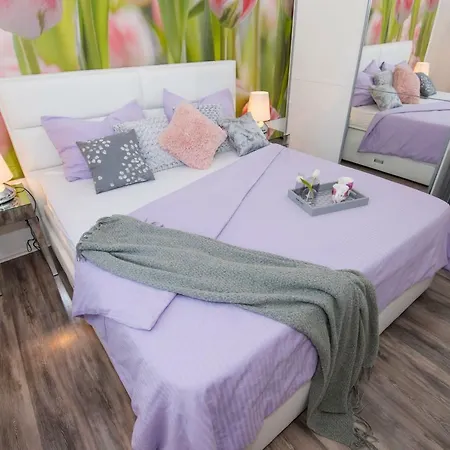 招待所 莱尼宾馆 扎达尔