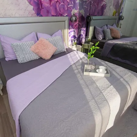 招待所 莱尼宾馆