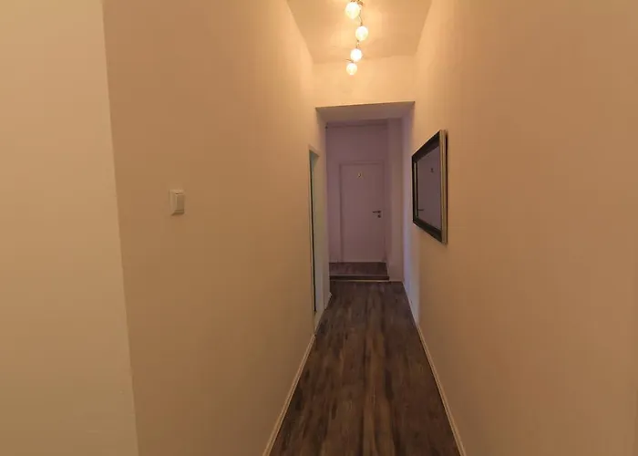 招待所 莱尼宾馆 3*