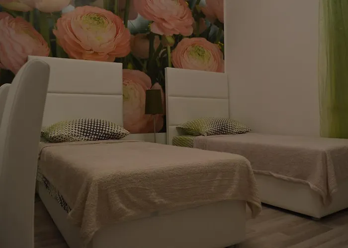 莱尼宾馆 招待所 3*