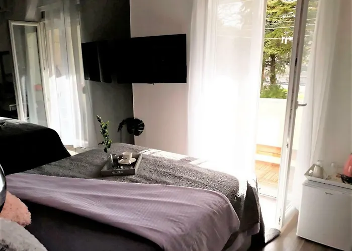 招待所 莱尼宾馆