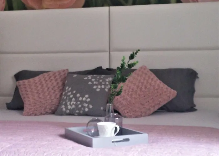 莱尼宾馆 招待所 3*