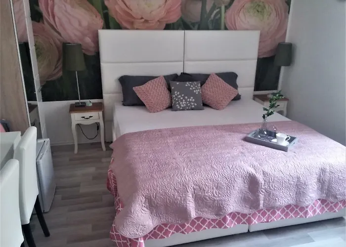 莱尼宾馆 招待所 扎达尔