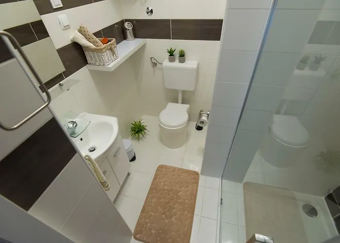 莱尼宾馆 招待所 3*