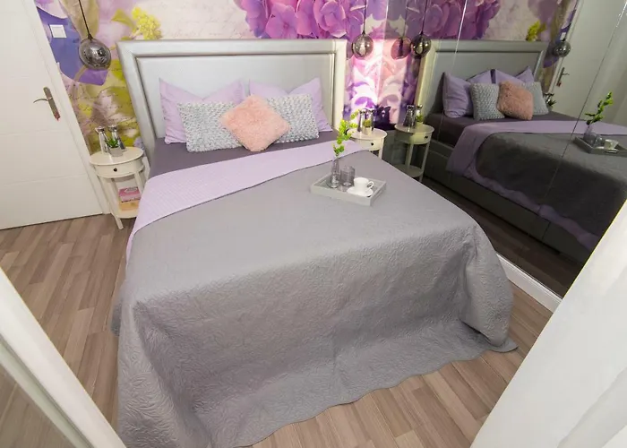 莱尼宾馆 招待所 3*