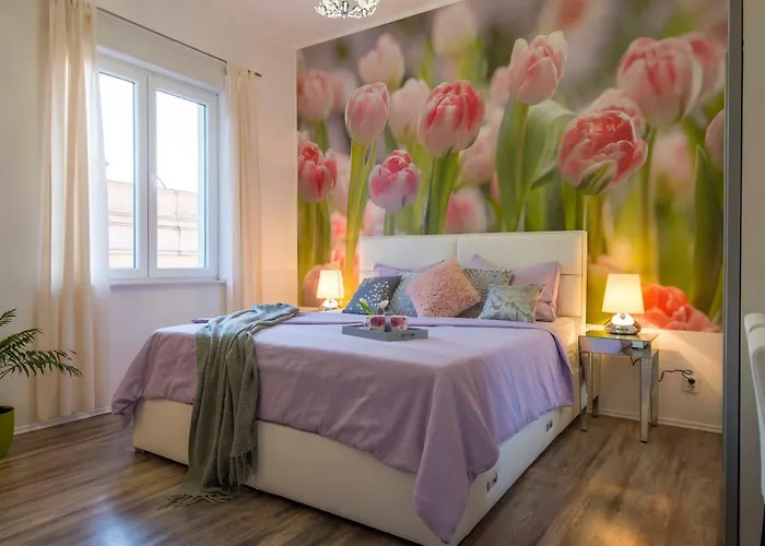 莱尼宾馆 招待所 扎达尔