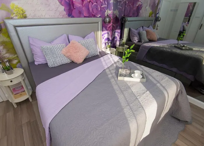 게스트하우스 레니 룸스